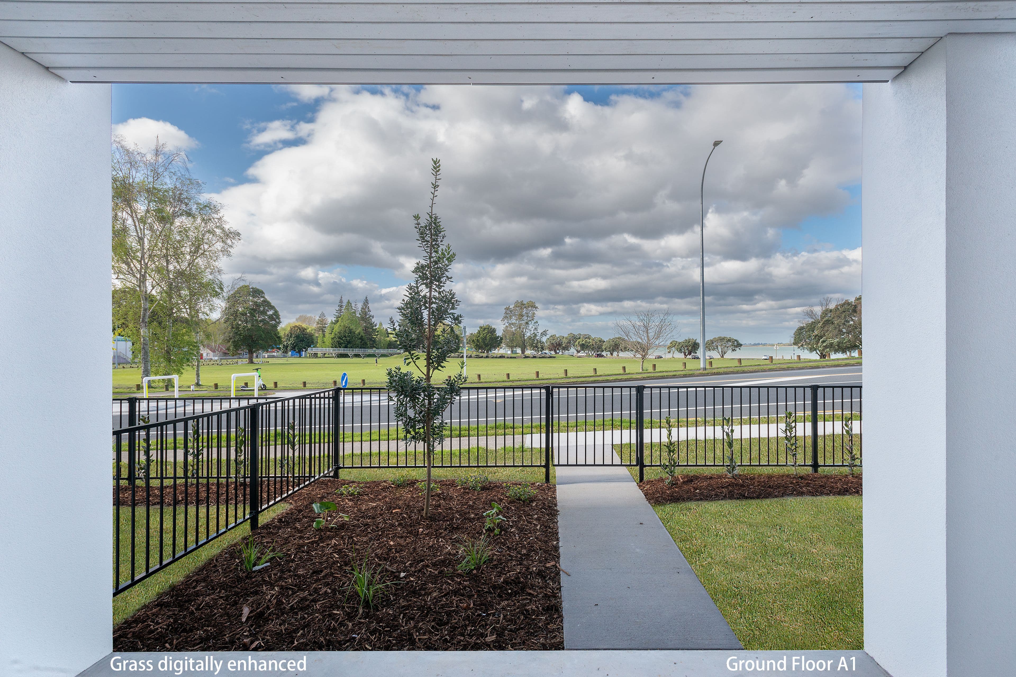 1 Memorial Way, Tauranga, Tauranga, Bay of Plenty | Tall Poppy 