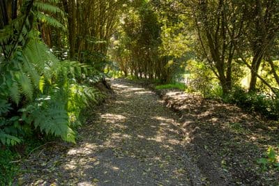 30 Westview Place, Tauriko, Tauranga, Bay of Plenty | Tall Poppy 