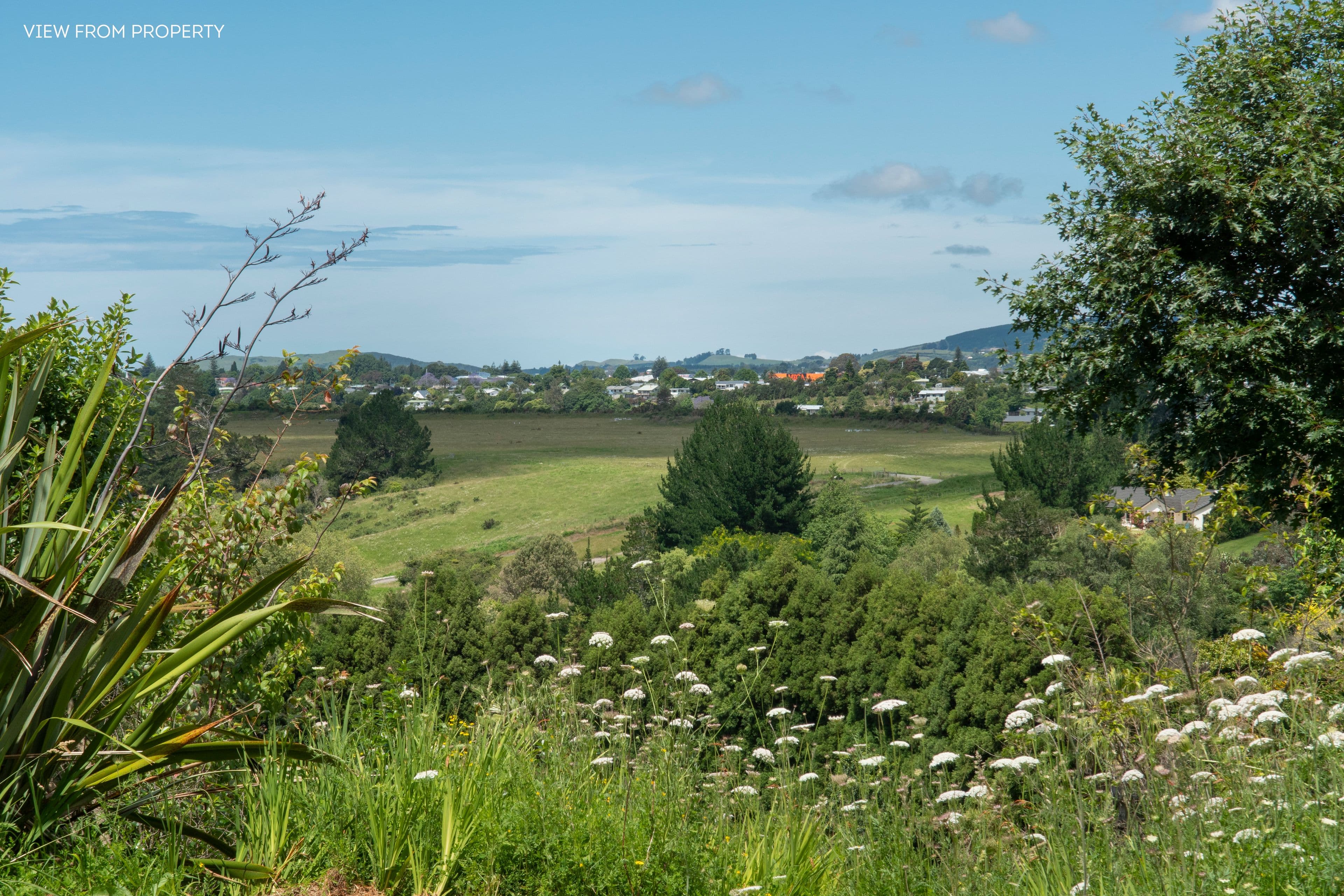 30 Westview Place, Tauriko, Tauranga, Bay of Plenty | Tall Poppy 