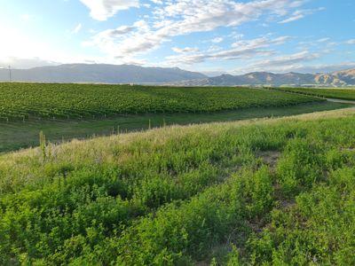 Lot 111 Mcarthur Ridge Road, Springvale, Central Otago, Otago | Tall Poppy 