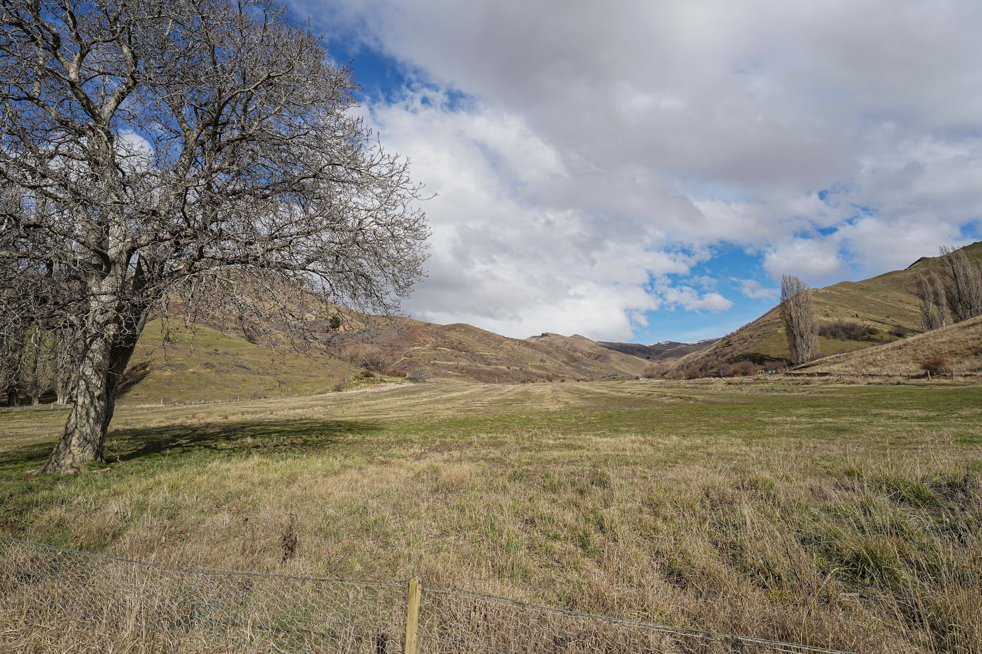 266 Hawksburn Road, Bannockburn, Central Otago, Otago | Tall Poppy 