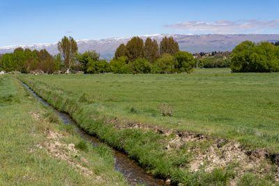 Sec 156 Fisher Lane, Alexandra, Central Otago, Otago | Tall Poppy 