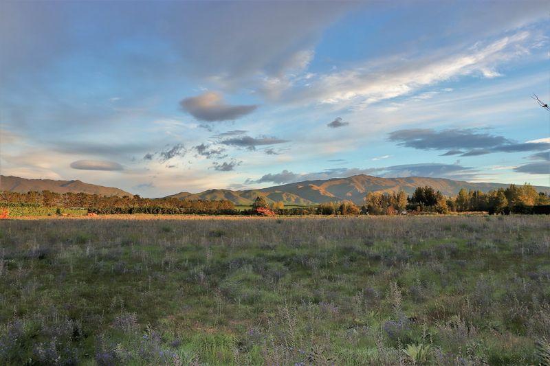 382 Letts Gully Road, Alexandra, Central Otago, Otago | Tall Poppy 