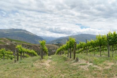 0 Cairnmuir Road, Bannockburn, Central Otago, Otago | Tall Poppy 