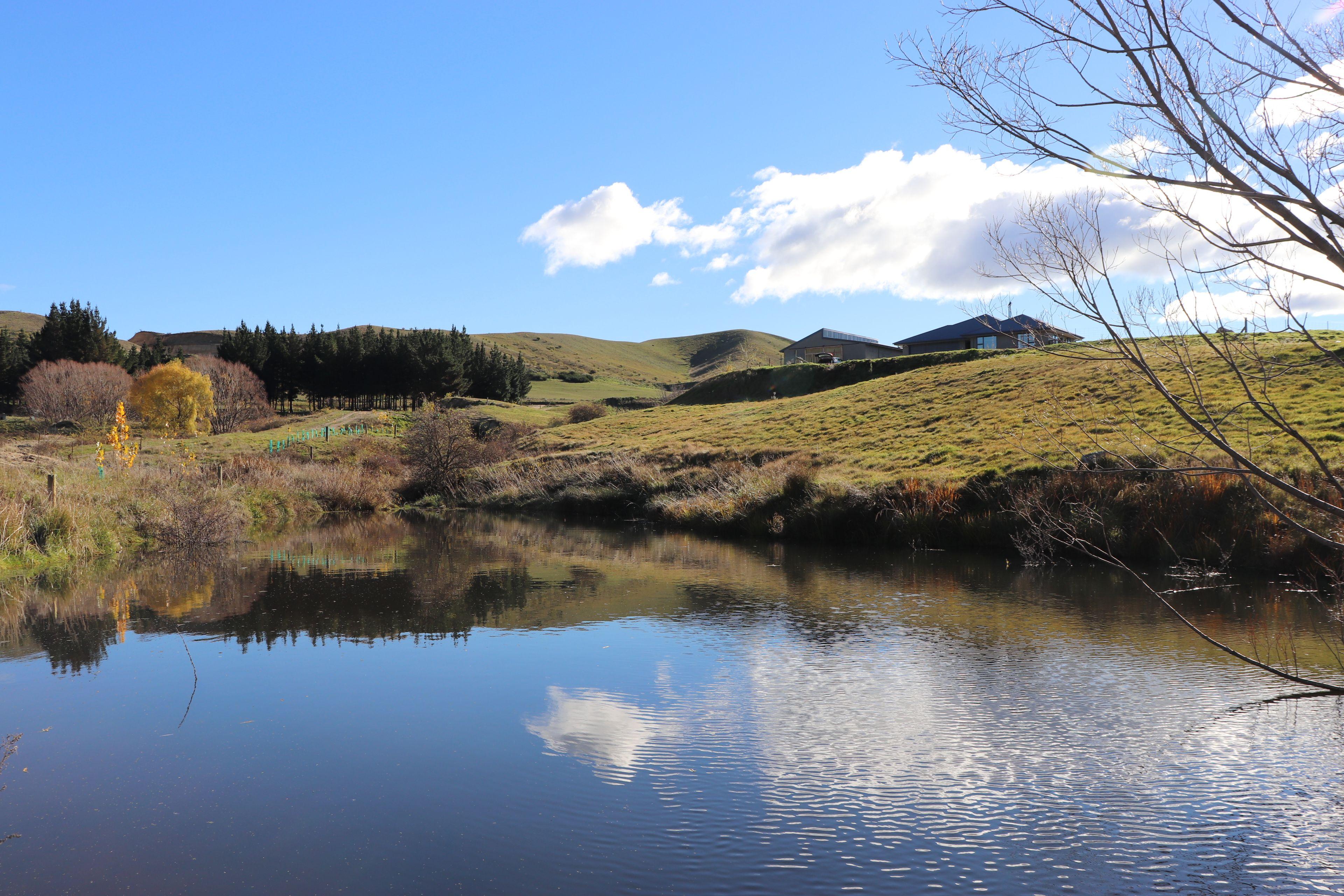 780 Chatto Creek - Springvale Road, Alexandra, Central Otago, Otago | Tall Poppy 