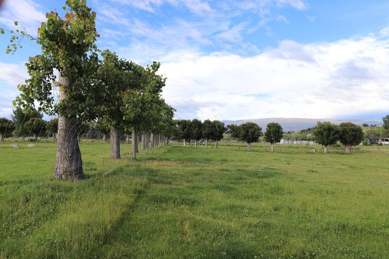 LOT  2  80 Fisher Lane, Alexandra, Central Otago