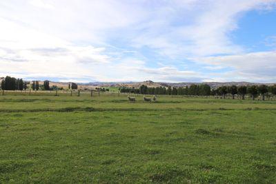 LOT  2  80 Fisher Lane, Alexandra, Central Otago, Otago | Tall Poppy 