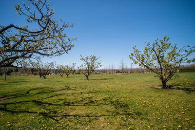 Lot 16 DP 400124 Paulin Road, Clyde, Central Otago, Otago | Tall Poppy 