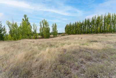 Section 10 Mcpherson Road, Alexandra, Central Otago, Otago | Tall Poppy 