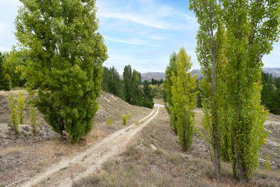 Section 10 Mcpherson Road, Alexandra, Central Otago, Otago | Tall Poppy 