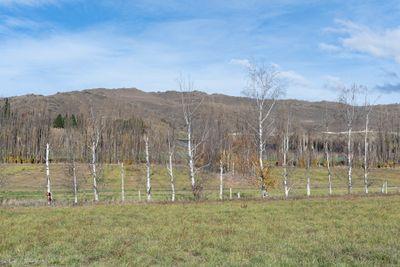 Lot 1 lot 1 Blackman Road, Alexandra, Central Otago, Otago | Tall Poppy 