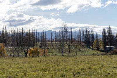 Lot 1 lot 1 Blackman Road, Alexandra, Central Otago, Otago | Tall Poppy 