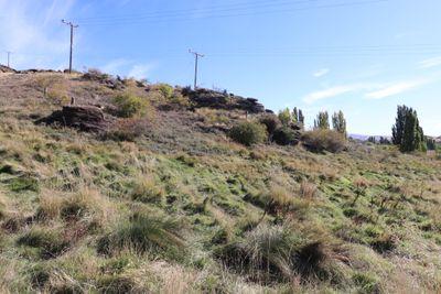 Lot 2 McGregor Road, Alexandra, Central Otago, Otago | Tall Poppy 