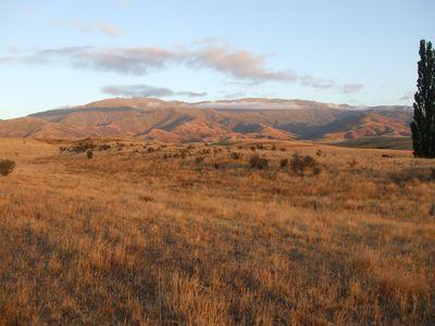 Lot 26 Nelson Ridge Road, Alexandra, Central Otago, Otago | Tall Poppy 