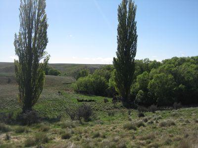 Lot 26 Nelson Ridge Road, Alexandra, Central Otago, Otago | Tall Poppy 