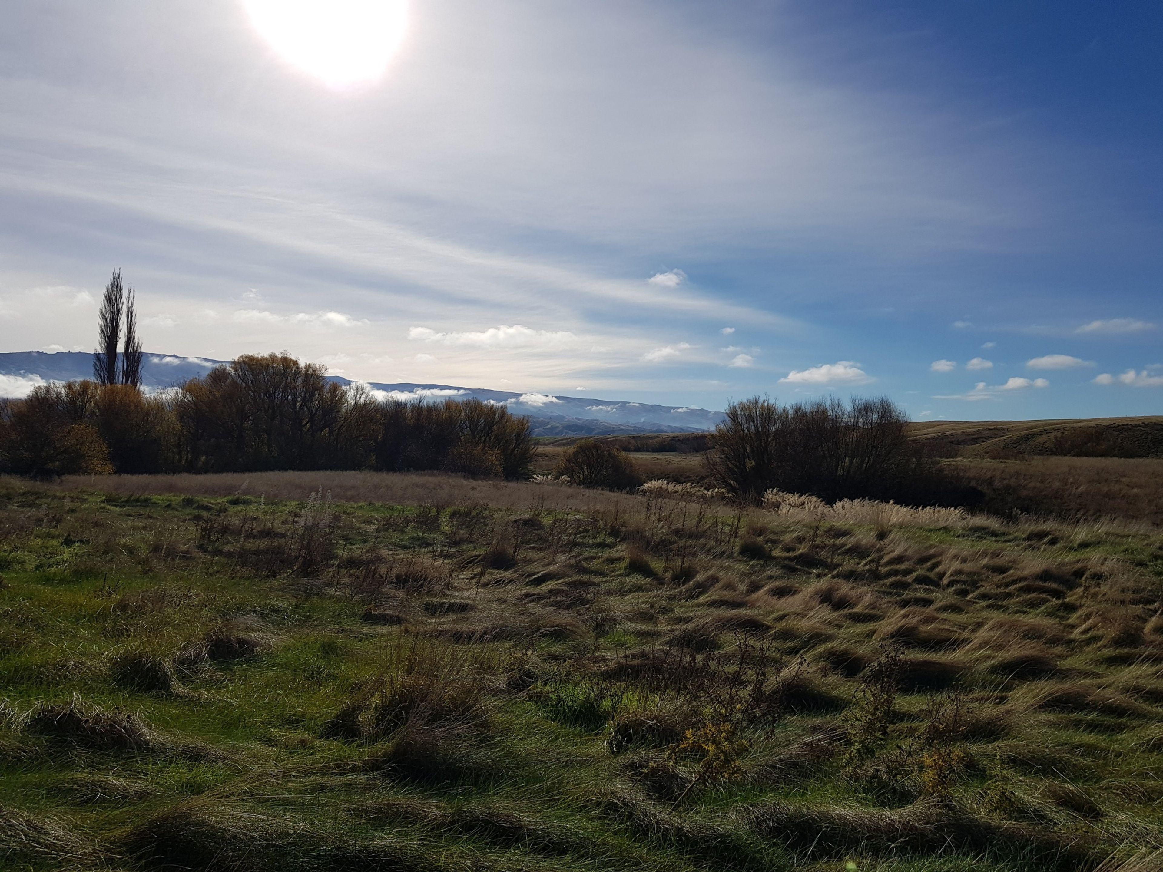 Lot 26 Nelson Ridge Road, Alexandra, Central Otago, Otago | Tall Poppy 