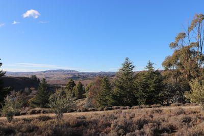 Lot 2 67 Letts Gully Road, Alexandra, Central Otago, Otago | Tall Poppy 