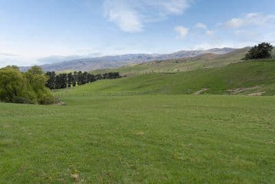 Lot 2 Hawksburn Road, Nevis, Central Otago, Otago | Tall Poppy 