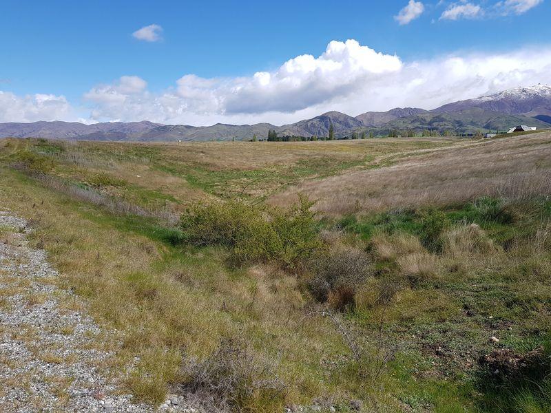 Lot 1 133 Nelson Ridge Road, Alexandra, Central Otago, Otago | Tall Poppy 