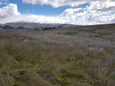 Lot 1 133 Nelson Ridge Road, Alexandra, Central Otago, Otago | Tall Poppy 