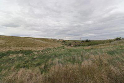 Lot 1 133 Nelson Ridge Road, Alexandra, Central Otago, Otago | Tall Poppy 