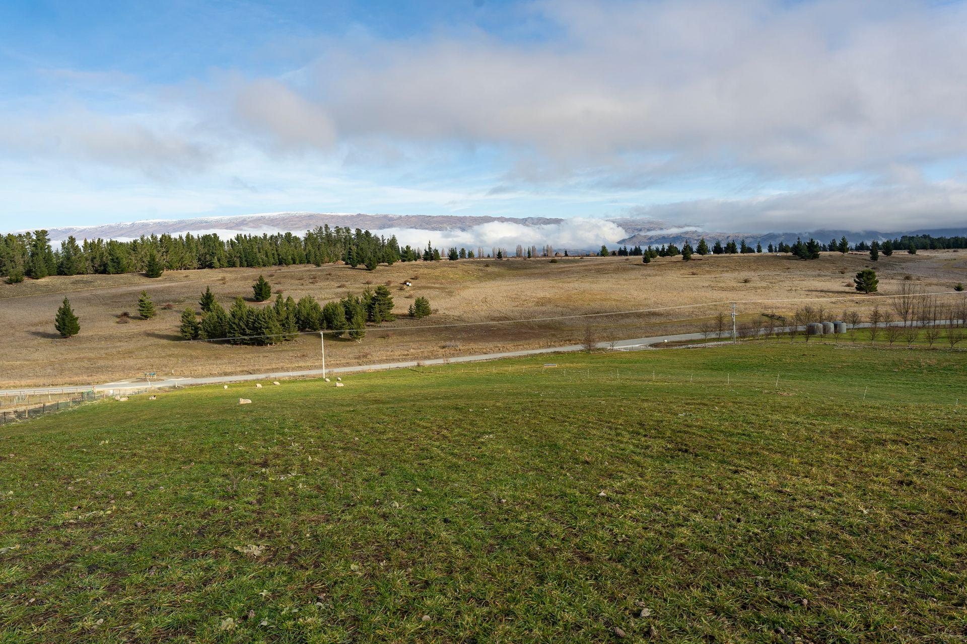 Lot 1 306 Letts Gully Road, Alexandra, Central Otago, Otago | Tall Poppy 