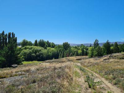 Lot 2 277 Earnscleugh Road, Alexandra, Central Otago, Otago | Tall Poppy 