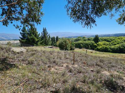 Lot 2 277 Earnscleugh Road, Alexandra, Central Otago, Otago | Tall Poppy 