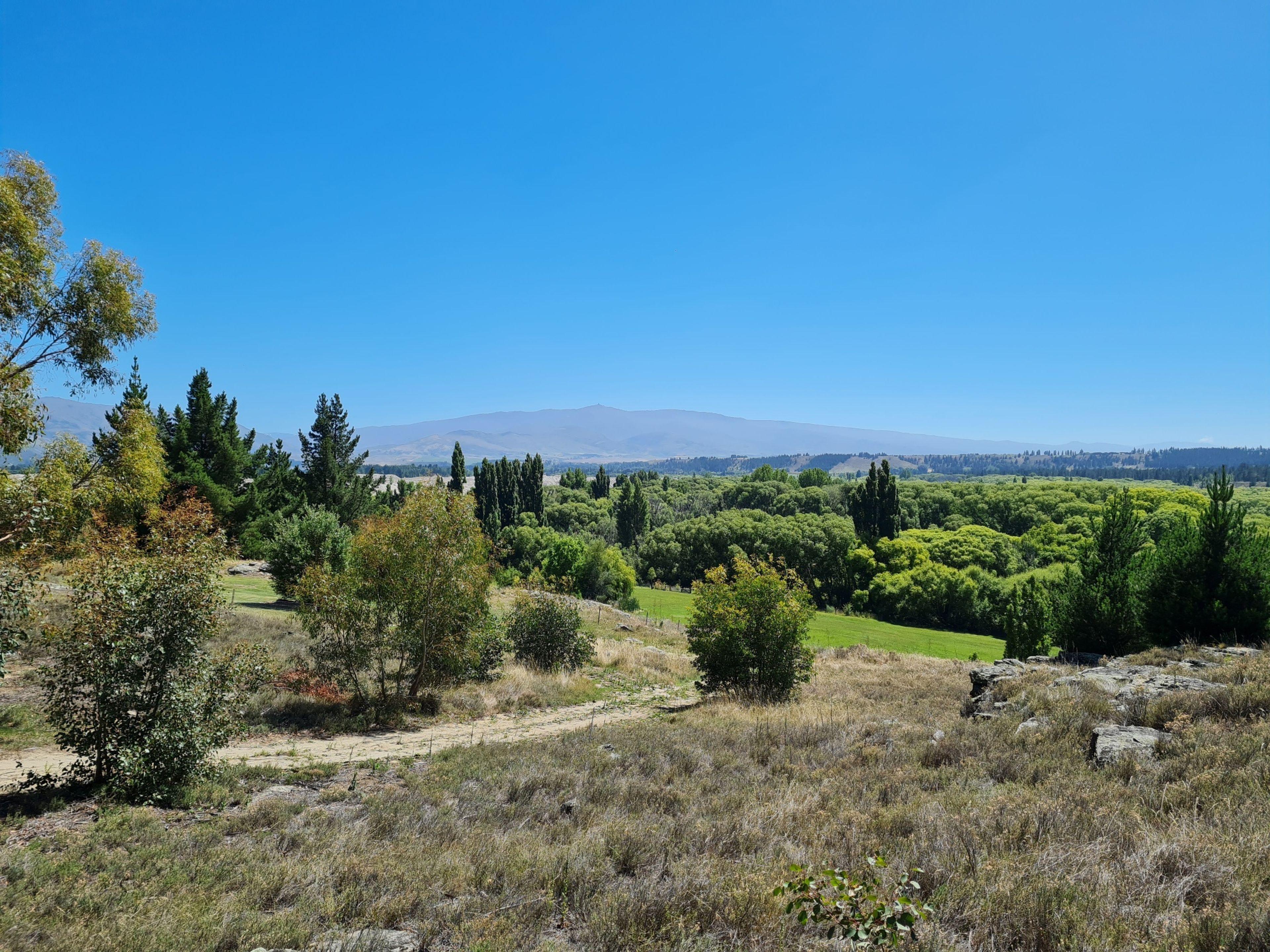 Lot 2 277 Earnscleugh Road, Alexandra, Central Otago, Otago | Tall Poppy 