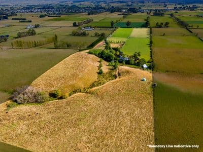 182 Back Road, Milton, Clutha, Otago | Tall Poppy 