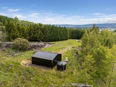 238 Gladstone Road, Mosgiel, Dunedin City, Otago | Tall Poppy 