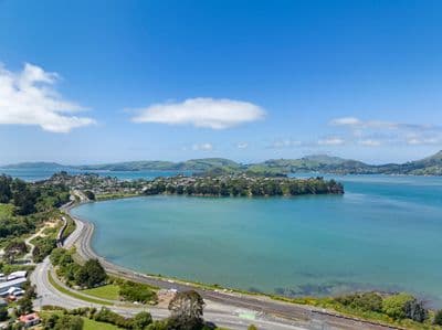 12 Shirley Lane, Sawyers Bay, Dunedin City, Otago | Tall Poppy 