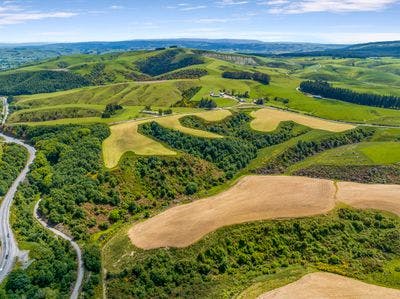 1 Manuka Gorge State Highway, Milton, Clutha, Otago | Tall Poppy 