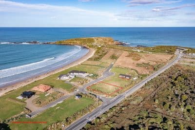 16 Ara Pahu, Curio Bay, Southland, Southland | Tall Poppy 