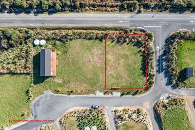 16 Ara Pahu, Curio Bay, Southland, Southland | Tall Poppy 