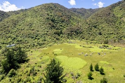 1303 Otaki Gorge Road, Otaki, Kapiti Coast, Wellington | Tall Poppy 