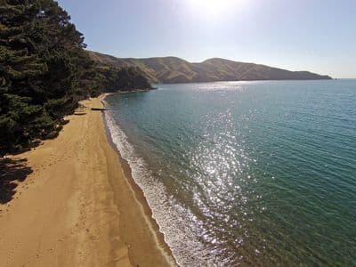 5497 Croisilles-French Pass Road, Marlborough Sounds, Marlborough, Marlborough | Tall Poppy 