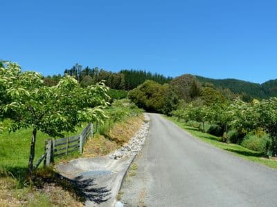 465c Hill Street, Richmond , Tasman, Nelson | Tall Poppy 