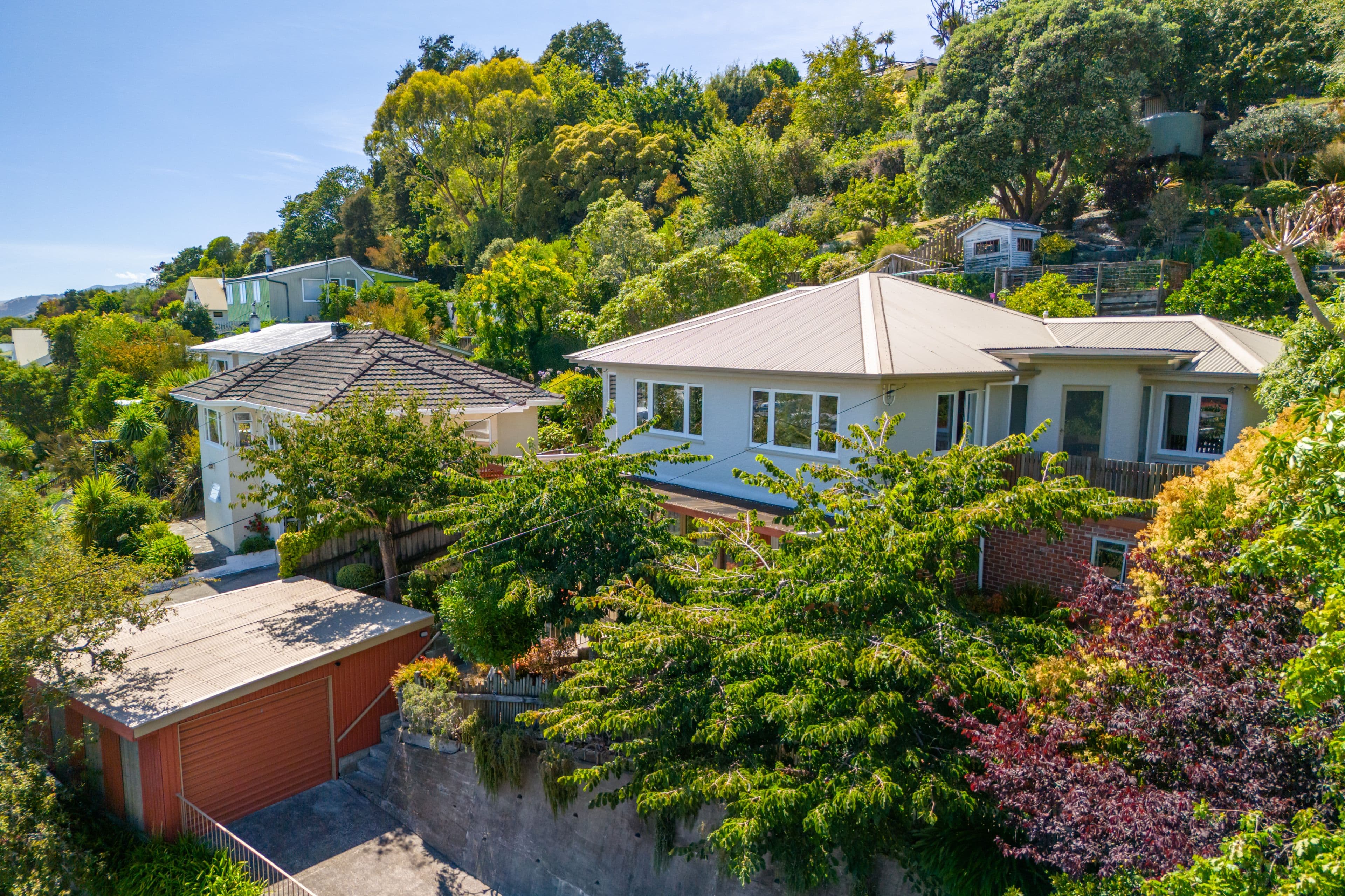 20 Konini Street, Nelson South, Nelson, Nelson | Tall Poppy 