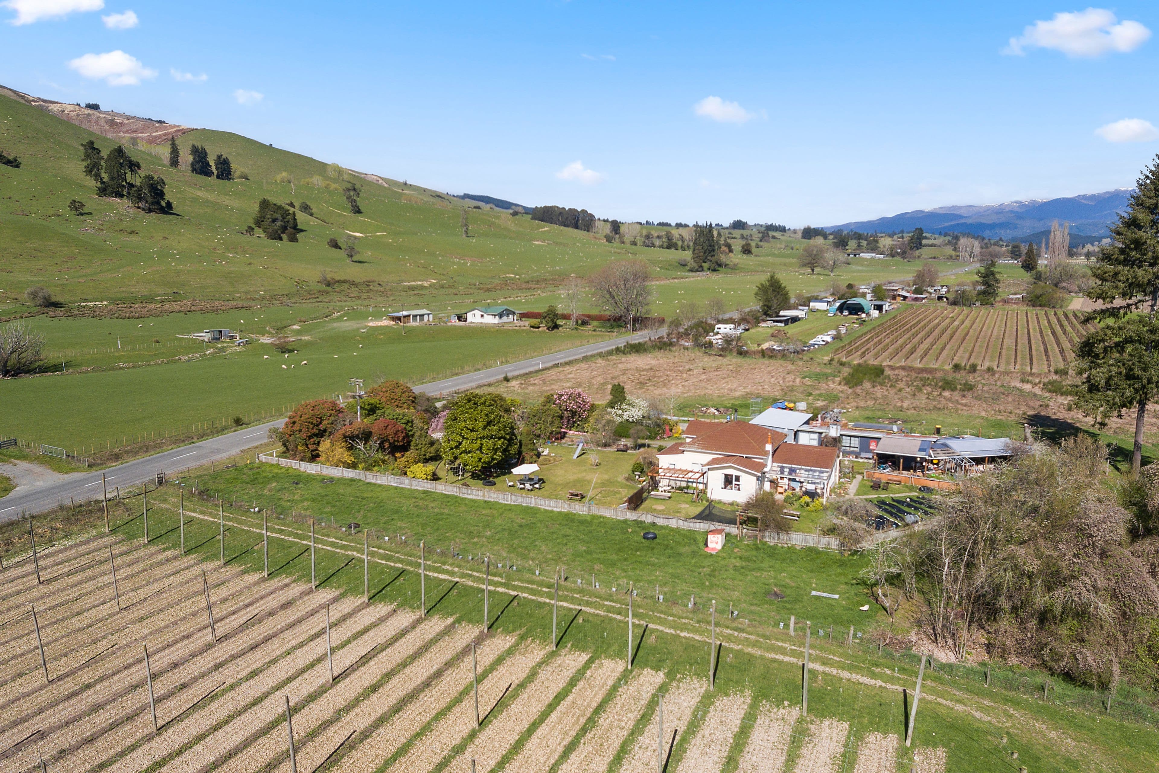 502 Tadmor Valley Road, Tapawera, Tasman, Nelson | Tall Poppy 