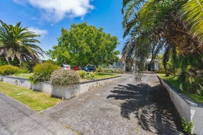 54 Cutfield Street, Inglewood, New Plymouth, Taranaki | Tall Poppy 