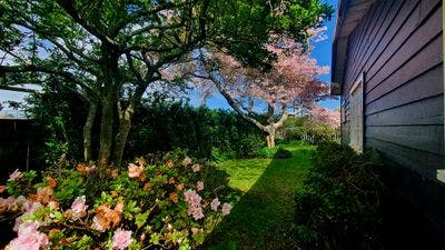 2 Hoyle Place, New Plymouth, New Plymouth, Taranaki | Tall Poppy 