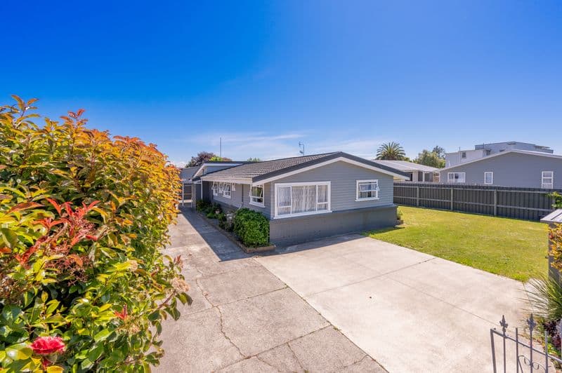 103 Latham Street, Marewa, Napier City