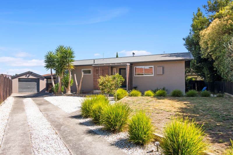 51 Roto Street, Tahunanui, Nelson, Nelson | Tall Poppy 