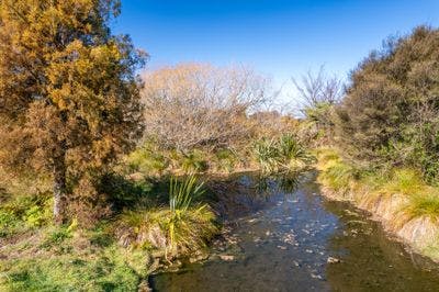 70 Harvey Road, Marahau, Tasman, Nelson | Tall Poppy 