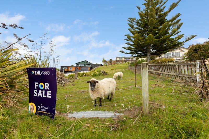 7 Ashburn Street, Oamaru, Waitaki