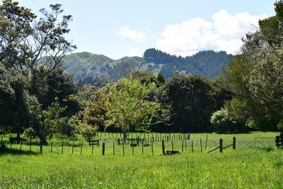 LOT 3, 77 Waitohu Valley Road, Otaki, Kapiti Coast, Wellington | Tall Poppy 