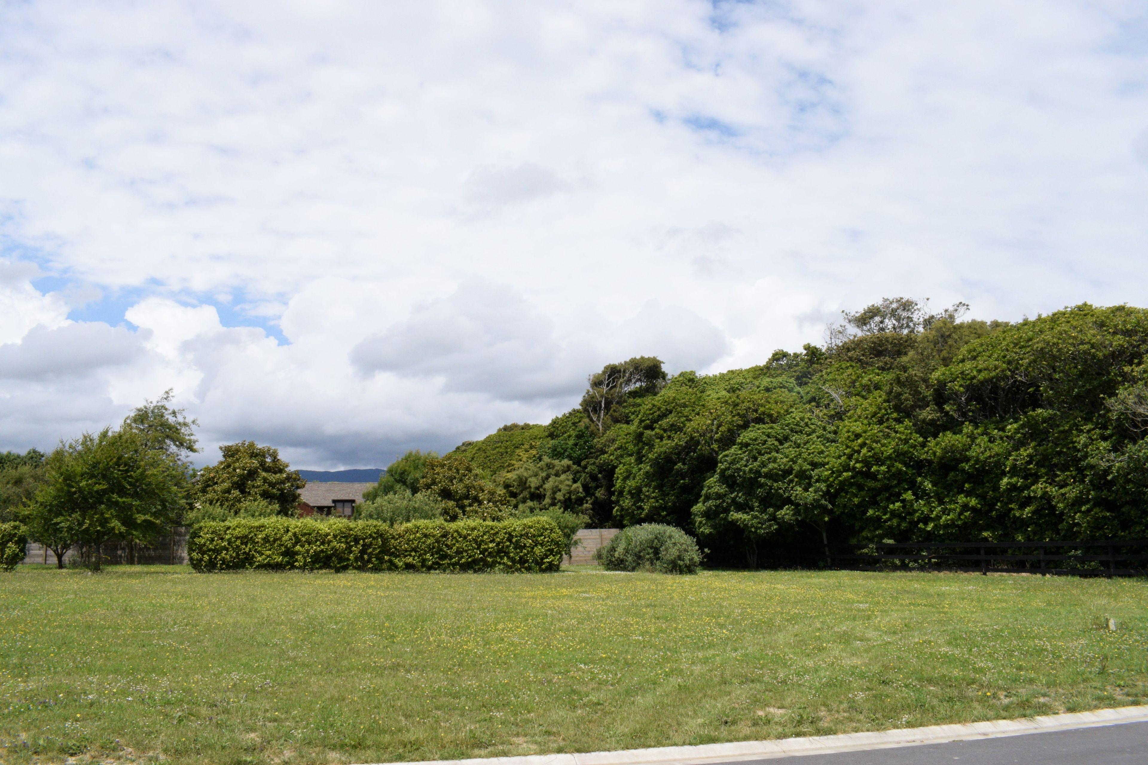 17 Tararua Crescent, Otaki, Kapiti Coast, Wellington | Tall Poppy 