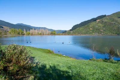 1735 Queen Charlotte Drive, Marlborough Sounds, Marlborough, Marlborough | Tall Poppy 