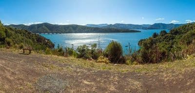 126 Port Underwood Road, Waikawa, Picton, Marlborough | Tall Poppy 